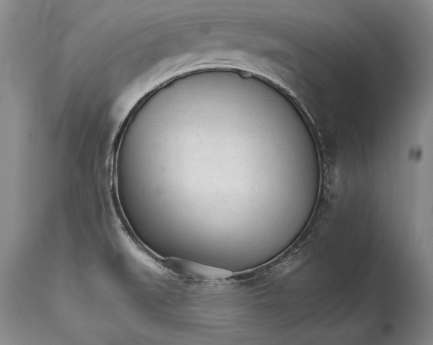 X0000114401519200911061526