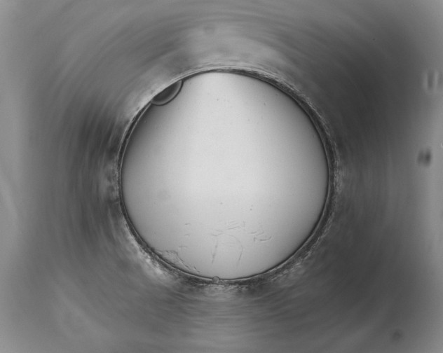 X0000114401521200911061526