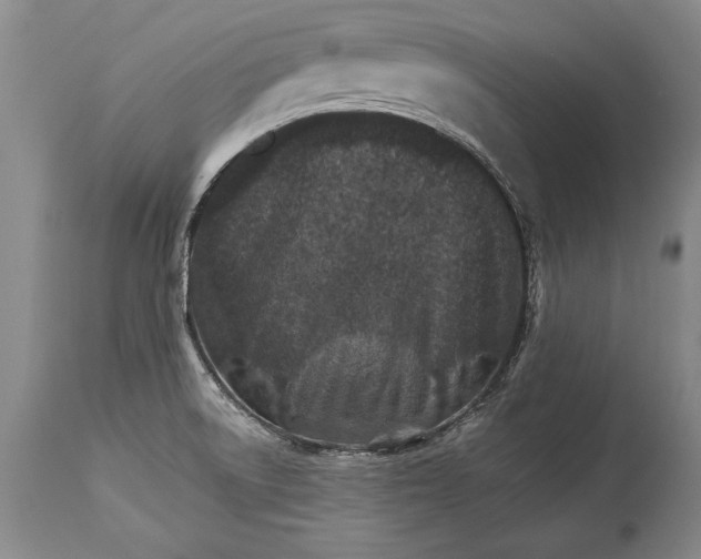 X0000114401522200911061526