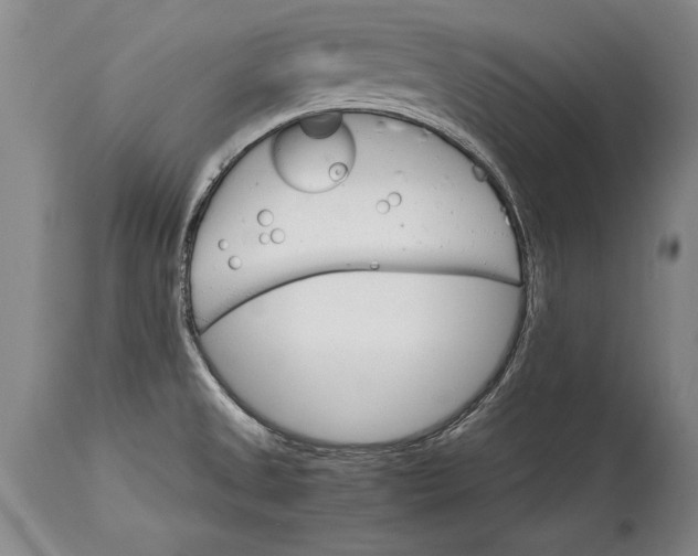 X0000114401525200911061526