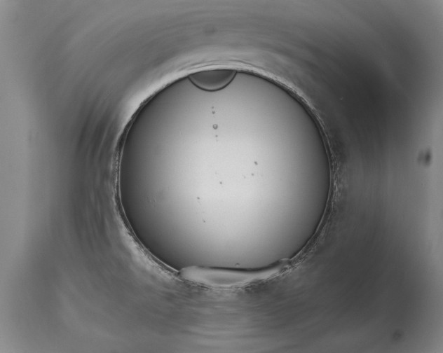 X0000114401526200911061526