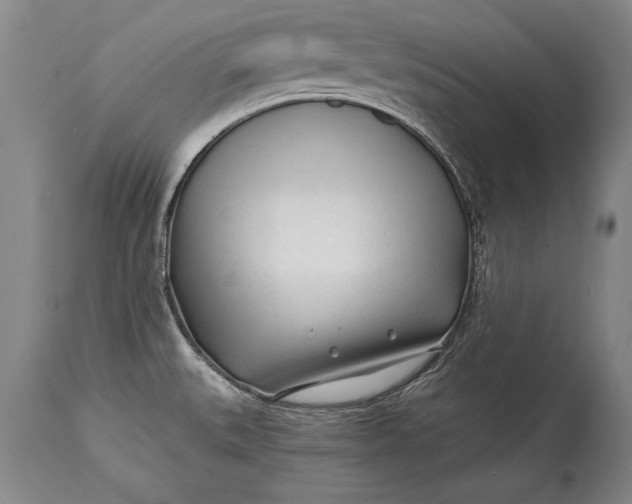 X0000114401527200911061526