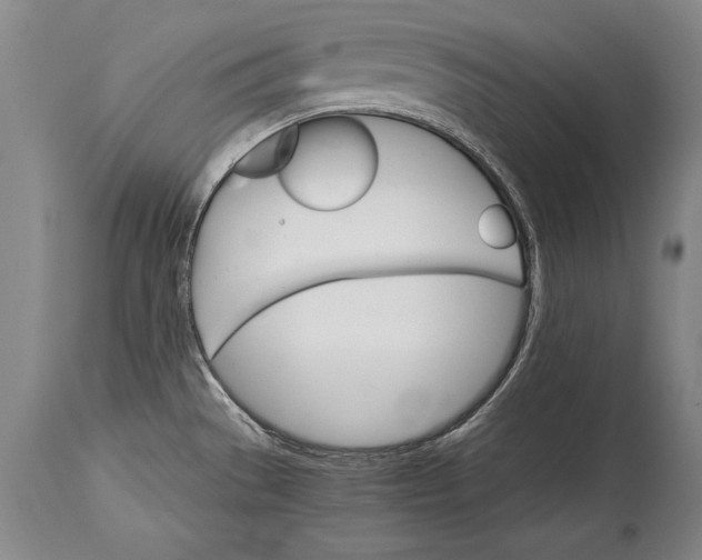 X0000114401529200911061526