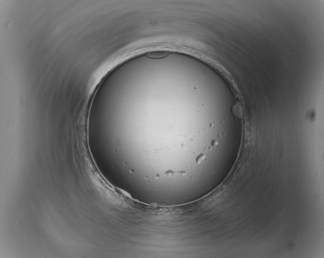 X0000114401530200911061526