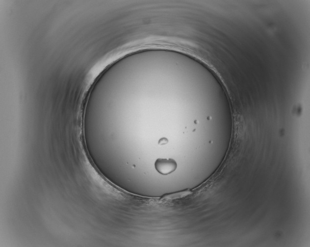 X0000114401531200911061526