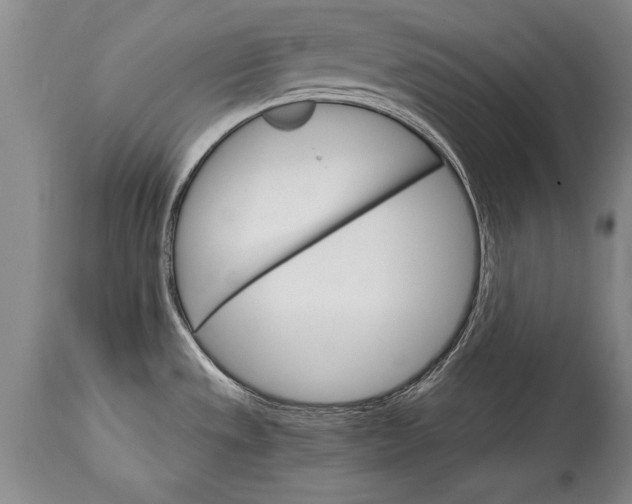 X0000114401533200911061526