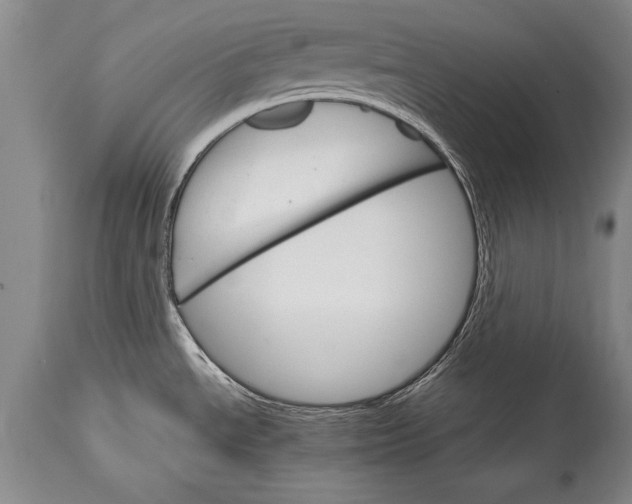 X0000114401534200911061526