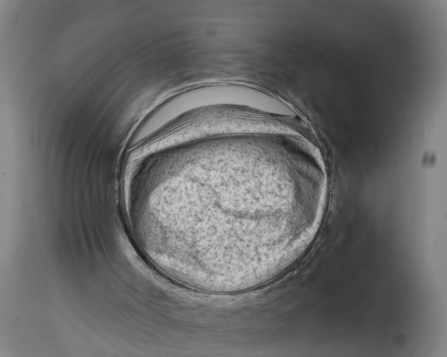 X0000114400002200911131416