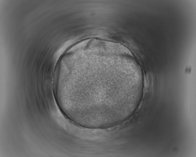 X0000114400003200911131416