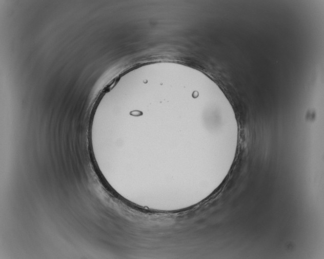 X0000114400004200911131416