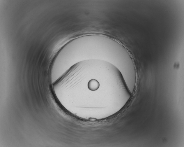 X0000114400005200911131416