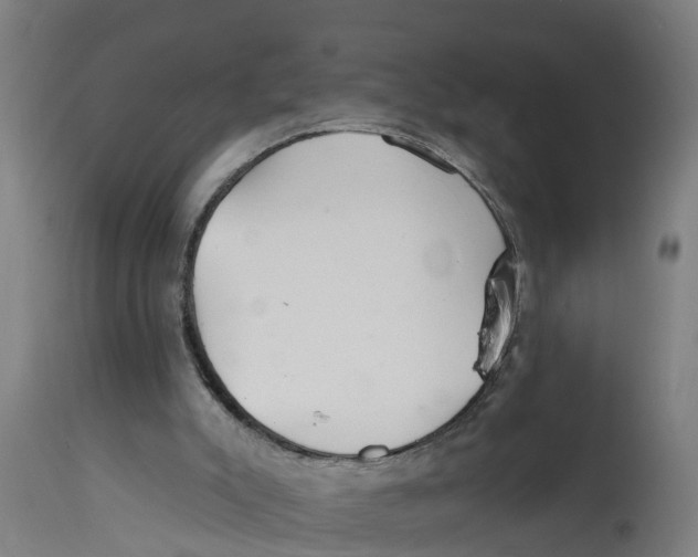 X0000114400007200911131416