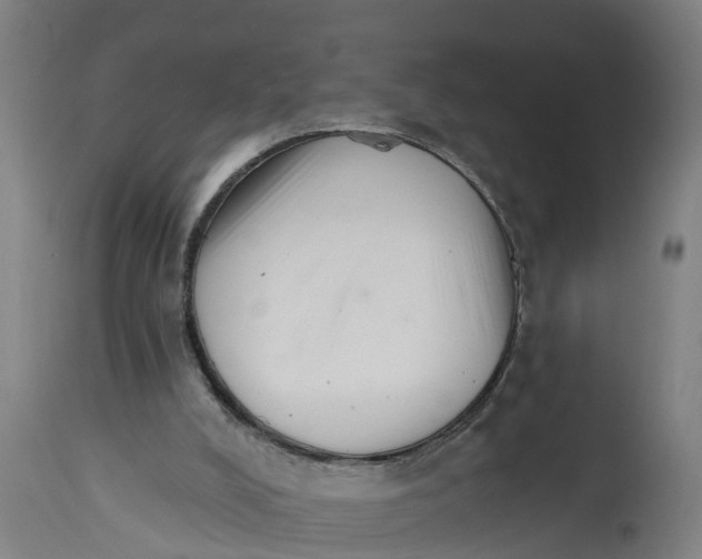 X0000114400008200911131416