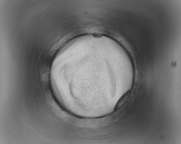 X0000114400009200911131416