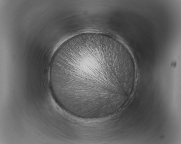 X0000114400011200911131416