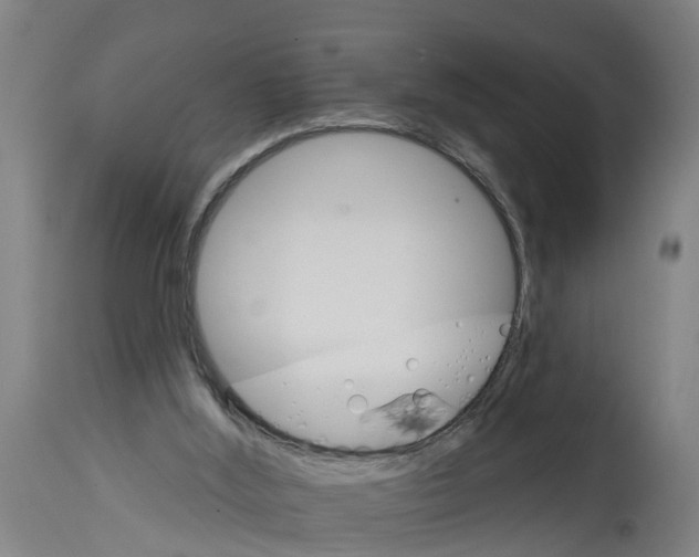 X0000114400012200911131416