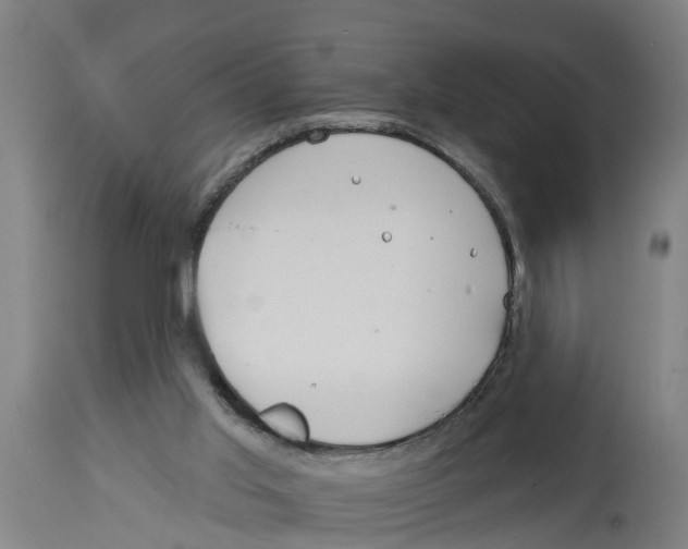 X0000114400013200911131416