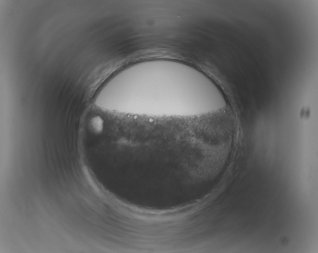 X0000114400014200911131416