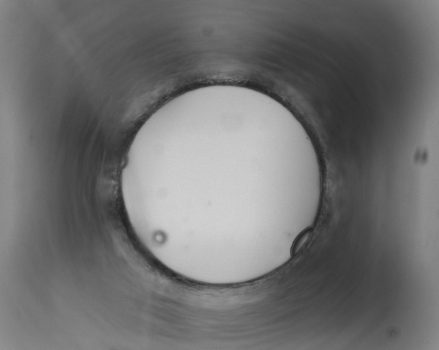 X0000114400017200911131416