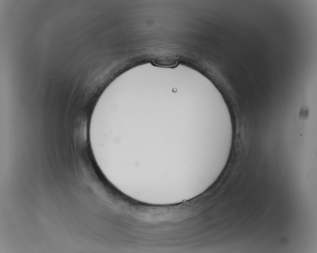 X0000114400021200911131416