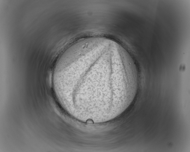 X0000114400022200911131416