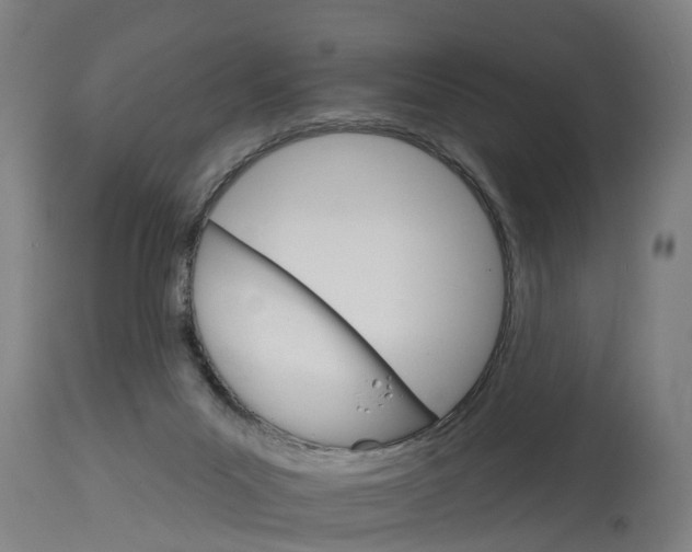 X0000114400023200911131416