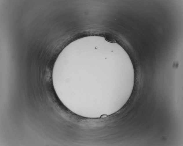 X0000114400025200911131416