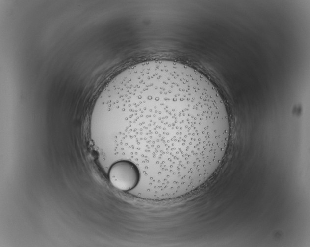 X0000114400026200911131416