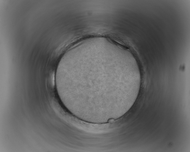 X0000114400027200911131416