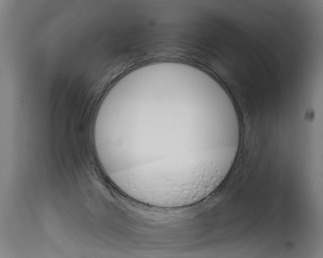 X0000114400028200911131416