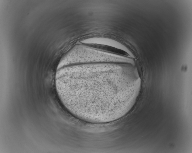 X0000114400029200911131416