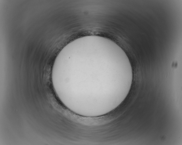 X0000114400030200911131416