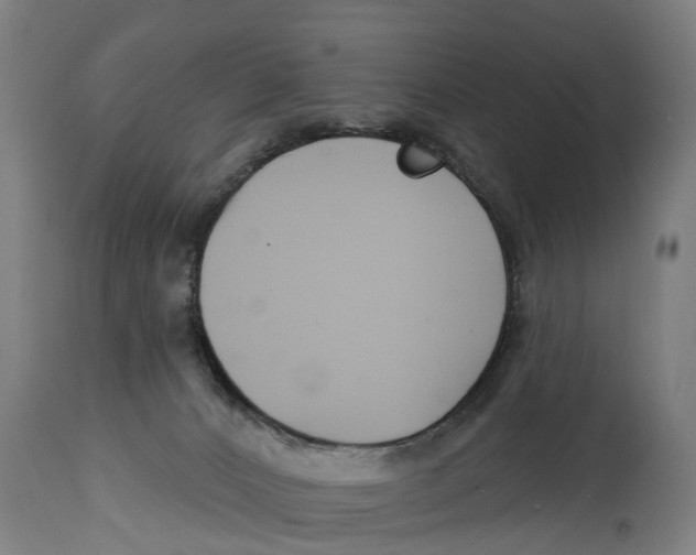 X0000114400032200911131416