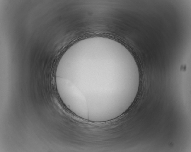 X0000114400039200911131416