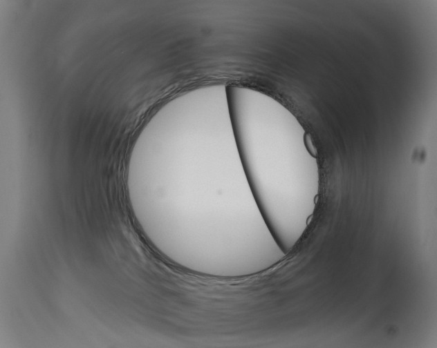 X0000114400040200911131416