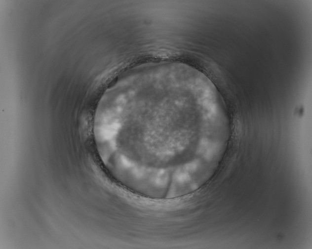 X0000114400043200911131416