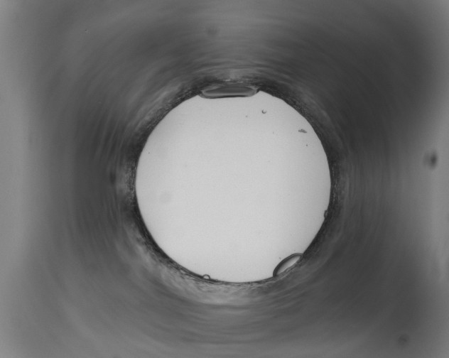 X0000114400044200911131416