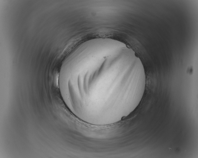 X0000114400046200911131416