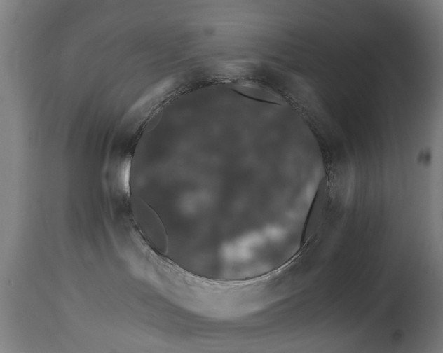 X0000114400047200911131416