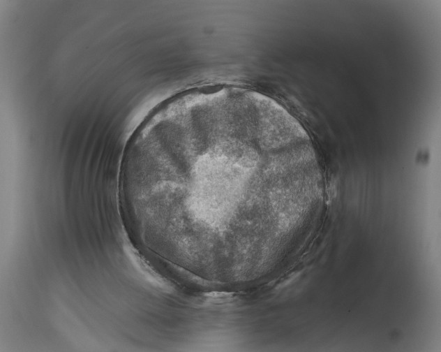 X0000114400052200911131415