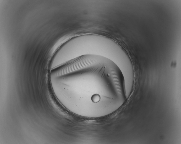 X0000114400054200911131415