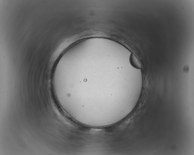 X0000114400055200911131415