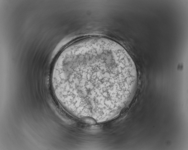 X0000114400056200911131415