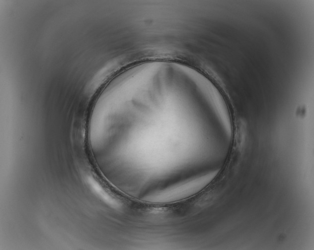 X0000114400059200911131415