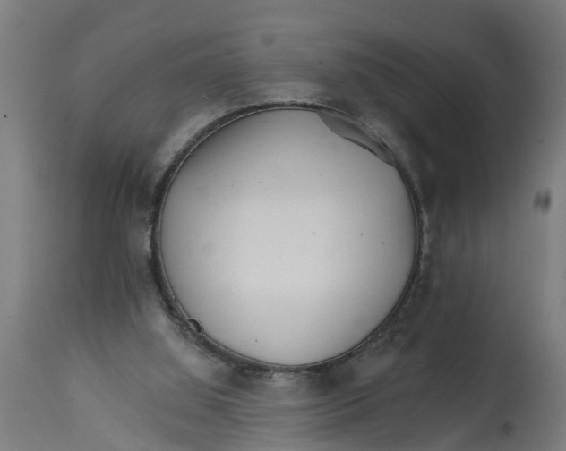 X0000114400060200911131415