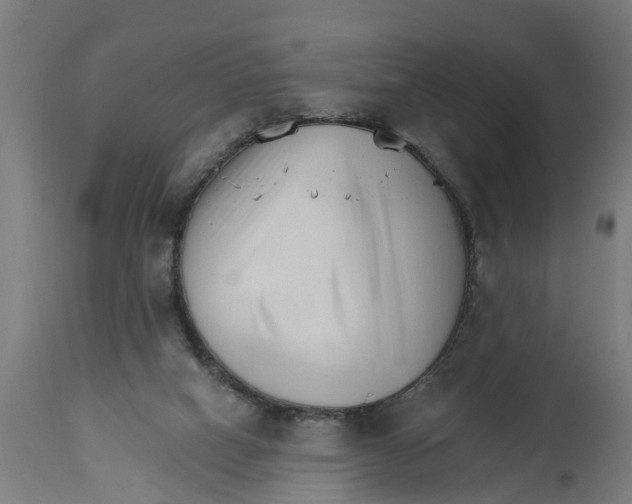 X0000114400066200911131415