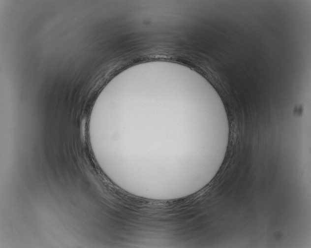 X0000114400070200911131415