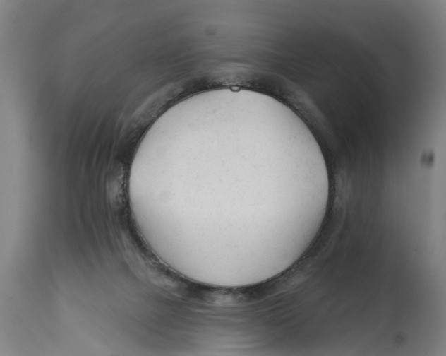 X0000114400073200911131415