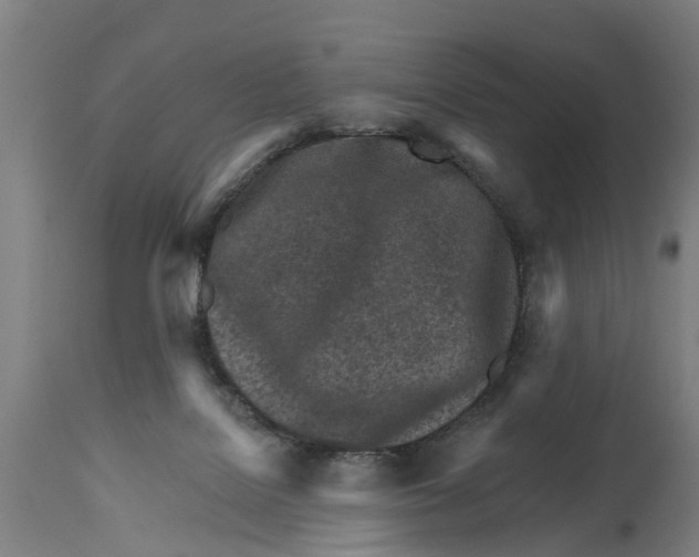 X0000114400076200911131415