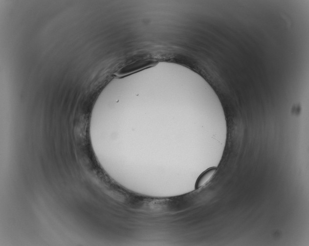 X0000114400078200911131415